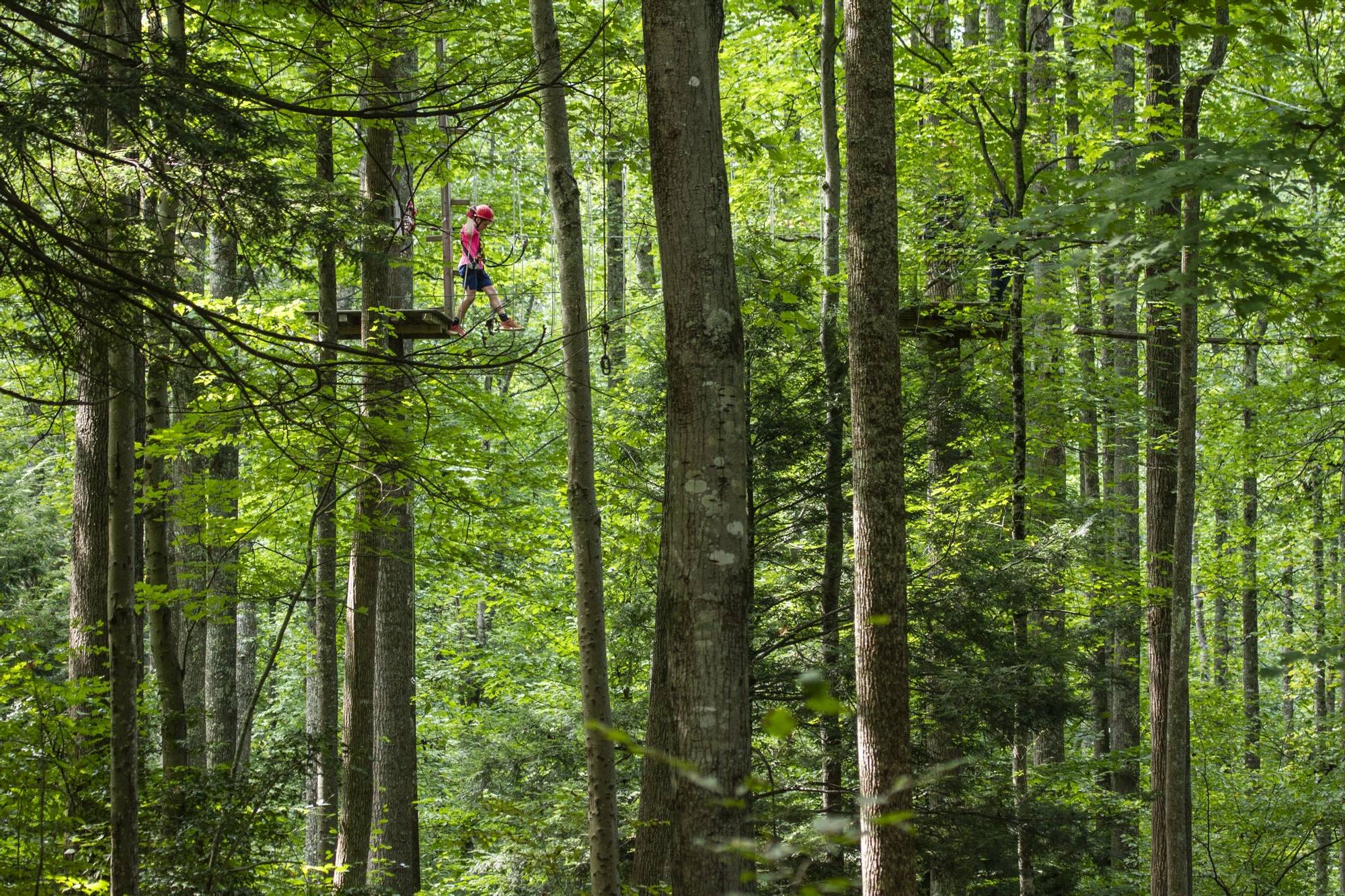 Adventures on the Gorge timbertrek